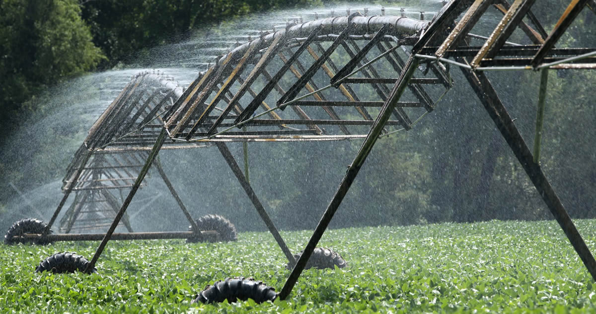 The Best Automatic Irrigation Watering Systems
