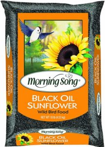 Morning Song Black Oil Sunflower Seed